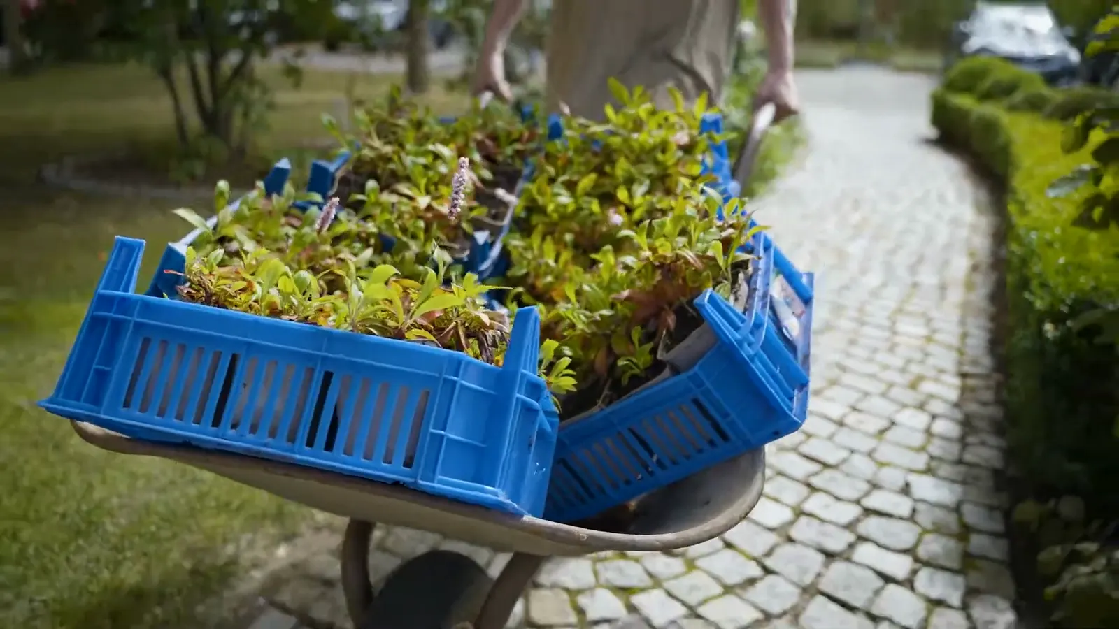 Standbild aus „Imagefilm Jungjohann & Jensen“ — Imagefilm für Jungjohann & Jensen