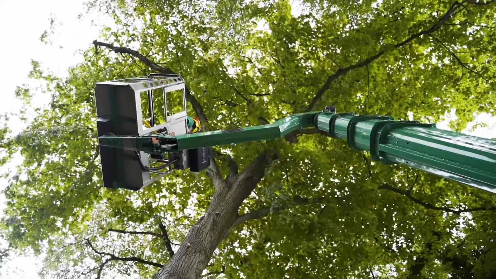 Standbild aus „Imagefilm Bühner Baumpflege“ — Imagefilm für Bühner Baumpflege