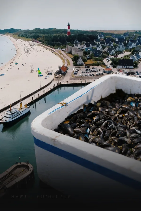Filmplakat: Imagefilm Sylter Muscheln — Imagefilm für Sylter Muscheln